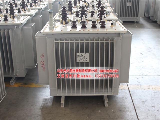 S13-800KVA济阳济阳济阳济阳油浸式变压器
